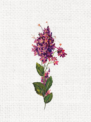 Image Not Available